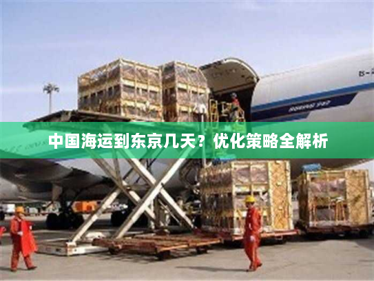 中国海运到东京几天?优化策略全解析 中国海运到东京几天?优化策略全解析