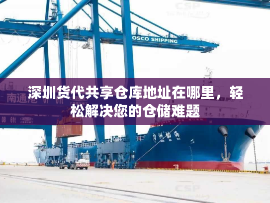 深圳货代共享仓库地址在哪里,轻松解决您的仓储难题 深圳货代共享仓库地址在哪里,轻松解决您的仓储难题