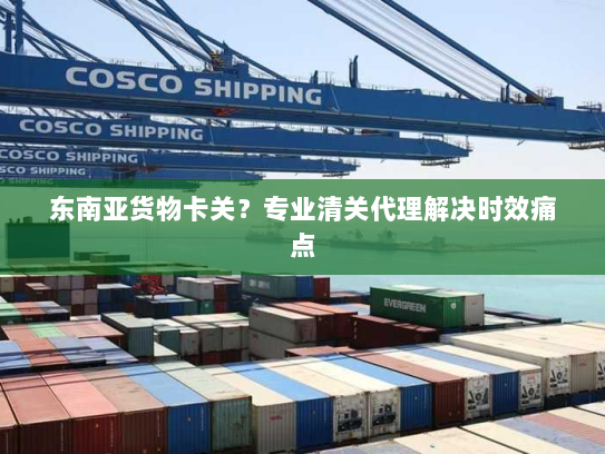东南亚货物卡关?专业清关代理解决时效痛点 东南亚货物卡关?专业清关代理解决时效痛点