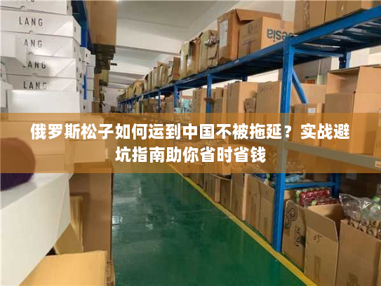 俄罗斯松子如何运到中国不被拖延?实战避坑指南助你省时省钱 俄罗斯松子如何运到中国不被拖延?实战避坑指南助你省时省钱