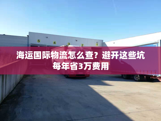 海运国际物流怎么查?避开这些坑每年省3万费用 海运国际物流怎么查?避开这些坑每年省3万费用