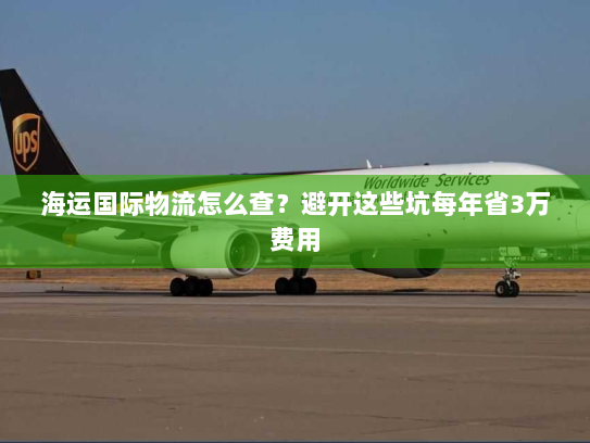 海运国际物流怎么查?避开这些坑每年省3万费用 海运国际物流怎么查?避开这些坑每年省3万费用