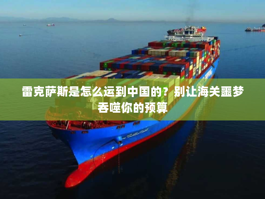 雷克萨斯是怎么运到中国的？别让海关噩梦吞噬你的预算