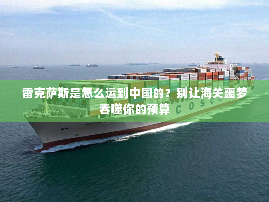 雷克萨斯是怎么运到中国的？别让海关噩梦吞噬你的预算