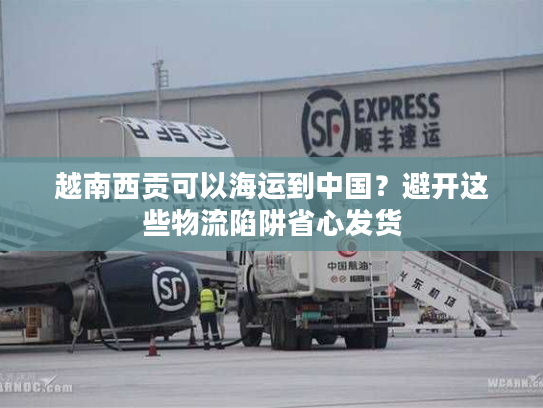 越南西贡可以海运到中国？避开这些物流陷阱省心发货