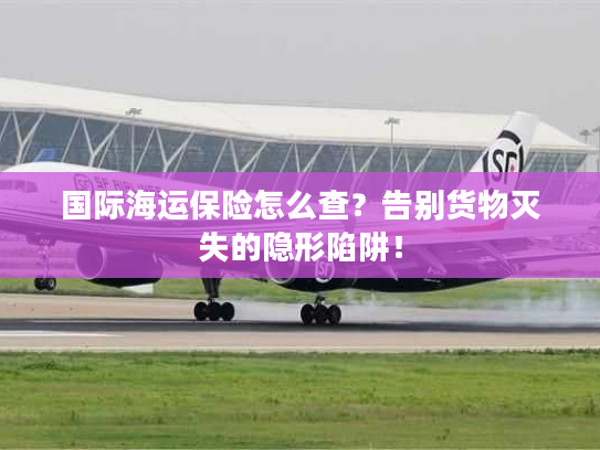 国际海运保险怎么查？告别货物灭失的隐形陷阱！