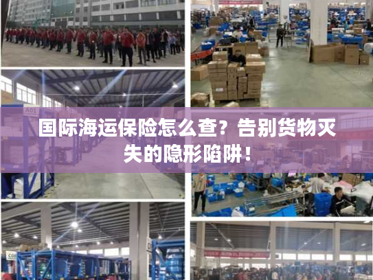 国际海运保险怎么查？告别货物灭失的隐形陷阱！