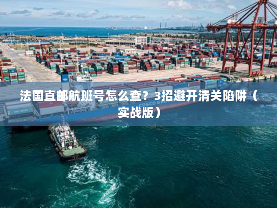 法国直邮航班号怎么查?3招避开清关陷阱(实战版) 法国直邮航班号怎么查?3招避开清关陷阱(实战版)