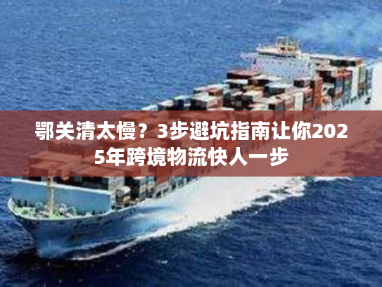 鄂关清太慢？3步避坑指南让你2025年跨境物流快人一步