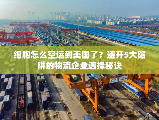 细胞怎么空运到美国了?避开5大陷阱的物流企业选择秘诀 细胞怎么空运到美国了?避开5大陷阱的物流企业选择秘诀