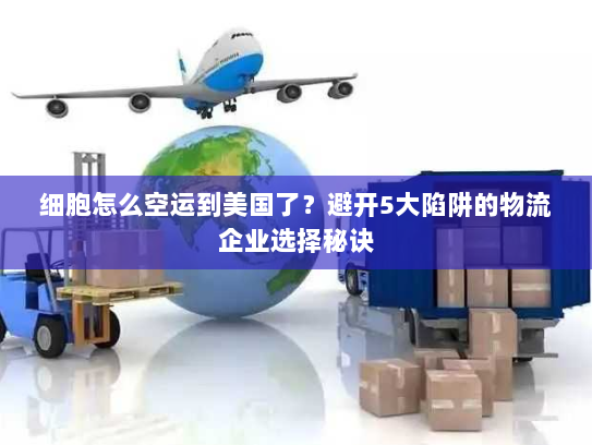 细胞怎么空运到美国了?避开5大陷阱的物流企业选择秘诀 细胞怎么空运到美国了?避开5大陷阱的物流企业选择秘诀