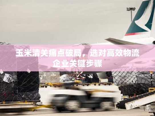 玉米清关痛点破局，选对高效物流企业关键步骤