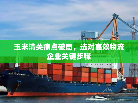 玉米清关痛点破局，选对高效物流企业关键步骤