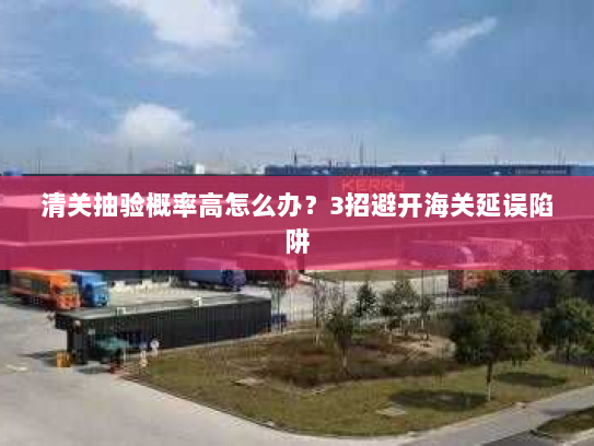 清关抽验概率高怎么办?3招避开海关延误陷阱 清关抽验概率高怎么办?3招避开海关延误陷阱