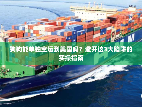 狗狗能单独空运到美国吗？避开这3大陷阱的实操指南