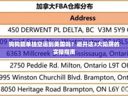 狗狗能单独空运到美国吗？避开这3大陷阱的实操指南