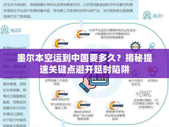 墨尔本空运到中国要多久？揭秘提速关键点避开延时陷阱