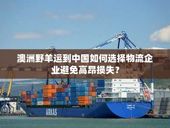 澳洲野羊运到中国如何选择物流企业避免高昂损失？