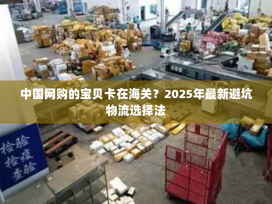 中国网购的宝贝卡在海关?2025年最新避坑物流选择法 中国网购的宝贝卡在海关?2025年最新避坑物流选择法