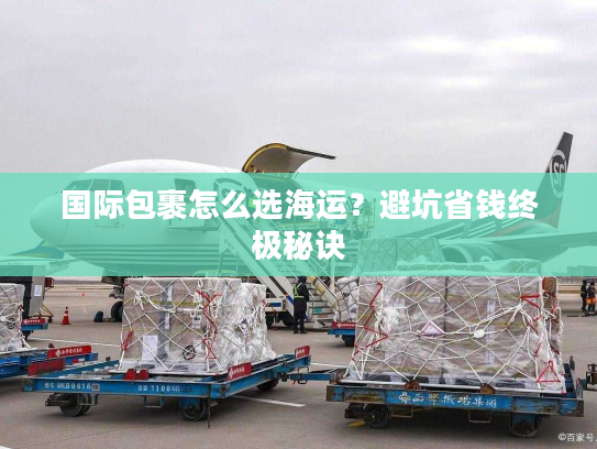 国际包裹怎么选海运?避坑省钱终极秘诀 国际包裹怎么选海运?避坑省钱终极秘诀