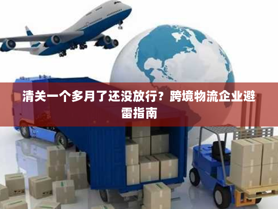 清关一个多月了还没放行?跨境物流企业避雷指南 清关一个多月了还没放行?跨境物流企业避雷指南
