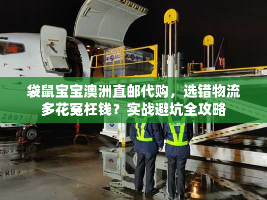 袋鼠宝宝澳洲直邮代购，选错物流多花冤枉钱？实战避坑全攻略