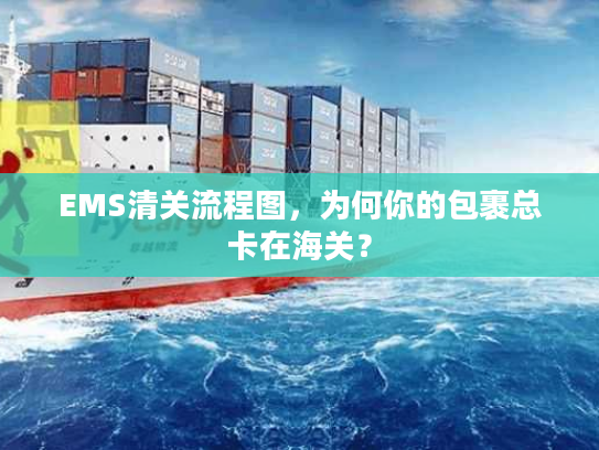 EMS清关流程图,为何你的包裹总卡在海关? EMS清关流程图,为何你的包裹总卡在海关?
