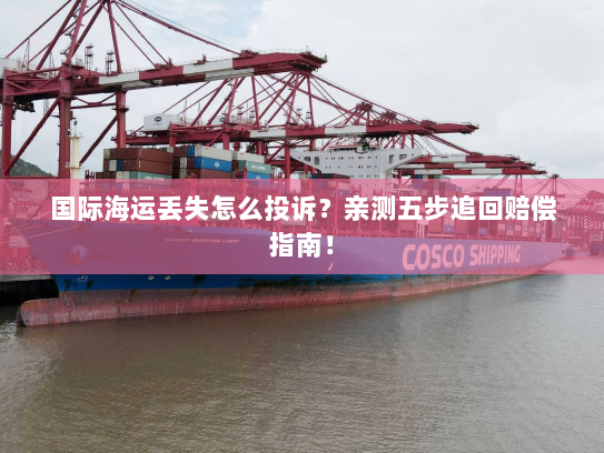 国际海运丢失怎么投诉?亲测五步追回赔偿指南! 国际海运丢失怎么投诉?亲测五步追回赔偿指南!
