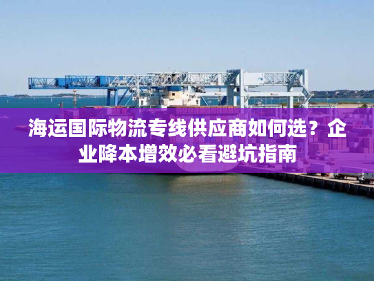海运国际物流专线供应商如何选？企业降本增效必看避坑指南
