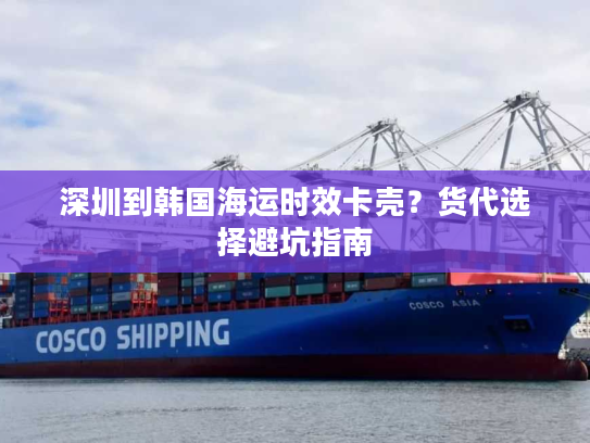 深圳到韩国海运时效卡壳？货代选择避坑指南