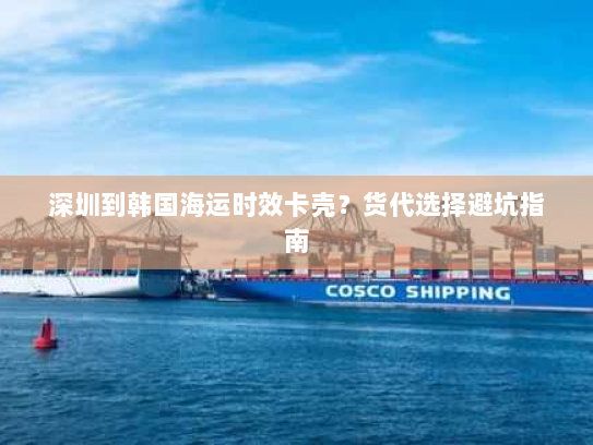深圳到韩国海运时效卡壳？货代选择避坑指南