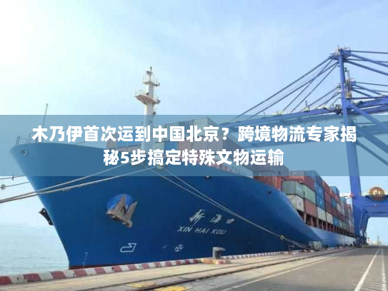 木乃伊首次运到中国北京?跨境物流专家揭秘5步搞定特殊文物运输 木乃伊首次运到中国北京?跨境物流专家揭秘5步搞定特殊文物运输