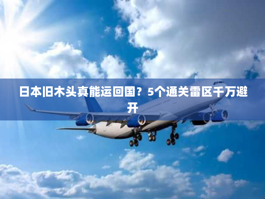 日本旧木头真能运回国？5个通关雷区千万避开