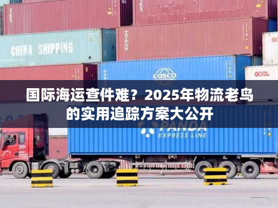 国际海运查件难？2025年物流老鸟的实用追踪方案大公开