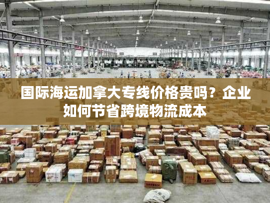 国际海运加拿大专线价格贵吗？企业如何节省跨境物流成本