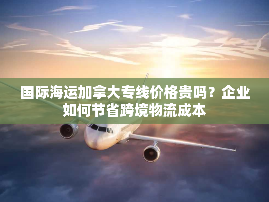 国际海运加拿大专线价格贵吗？企业如何节省跨境物流成本