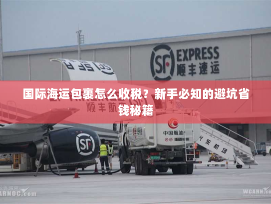 国际海运包裹怎么收税?新手必知的避坑省钱秘籍 国际海运包裹怎么收税?新手必知的避坑省钱秘籍