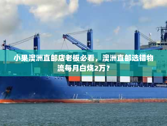小果澳洲直邮店老板必看,澳洲直邮选错物流每月白烧2万? 小果澳洲直邮店老板必看,澳洲直邮选错物流每月白烧2万?
