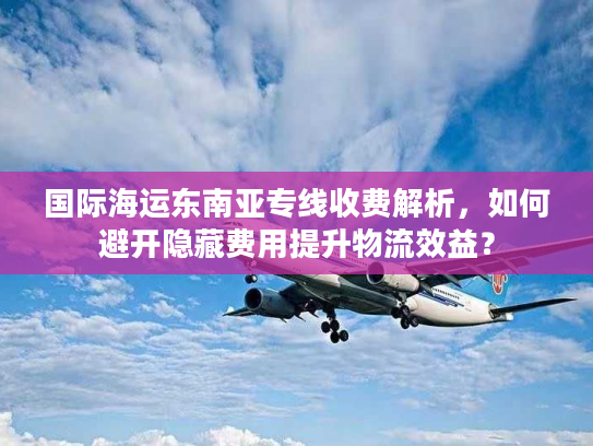 国际海运东南亚专线收费解析，如何避开隐藏费用提升物流效益？