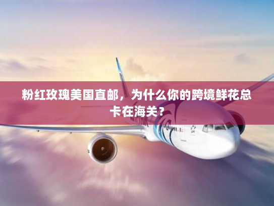 粉红玫瑰美国直邮,为什么你的跨境鲜花总卡在海关? 粉红玫瑰美国直邮,为什么你的跨境鲜花总卡在海关?