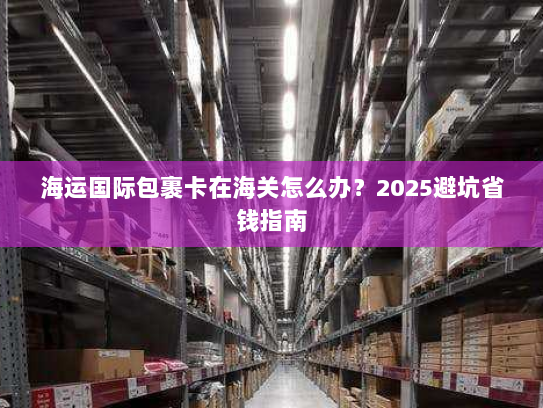 海运国际包裹卡在海关怎么办?2025避坑省钱指南 海运国际包裹卡在海关怎么办?2025避坑省钱指南