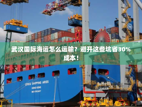 武汉国际海运怎么运输?避开这些坑省30%成本! 武汉国际海运怎么运输?避开这些坑省30%成本!