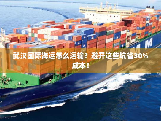 武汉国际海运怎么运输?避开这些坑省30%成本! 武汉国际海运怎么运输?避开这些坑省30%成本!