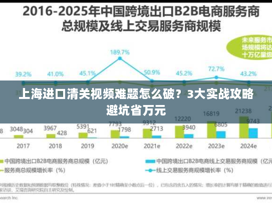 上海进口清关视频难题怎么破?3大实战攻略避坑省万元 上海进口清关视频难题怎么破?3大实战攻略避坑省万元