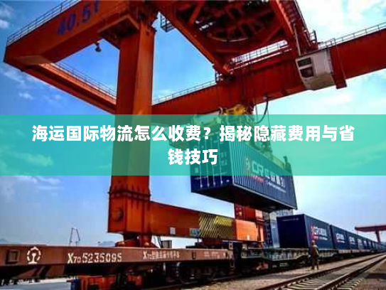 海运国际物流怎么收费？揭秘隐藏费用与省钱技巧