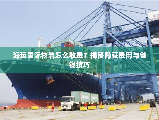 海运国际物流怎么收费？揭秘隐藏费用与省钱技巧