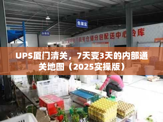 UPS厦门清关，7天变3天的内部通关地图（2025实操版）