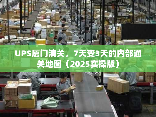UPS厦门清关，7天变3天的内部通关地图（2025实操版）