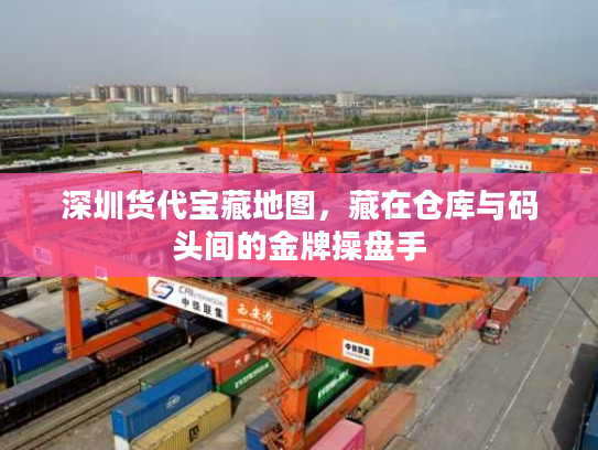 深圳货代宝藏地图，藏在仓库与码头间的金牌操盘手