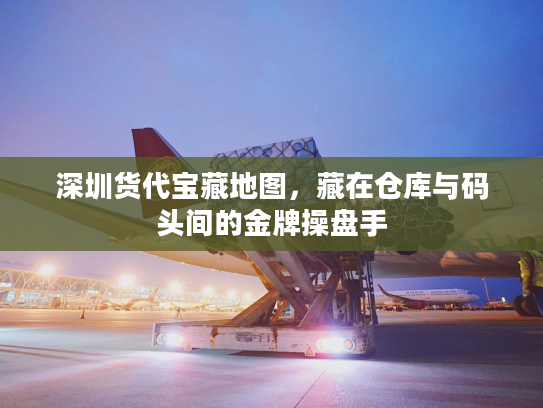 深圳货代宝藏地图，藏在仓库与码头间的金牌操盘手